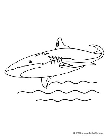 Shortfin mako shark coloring pages