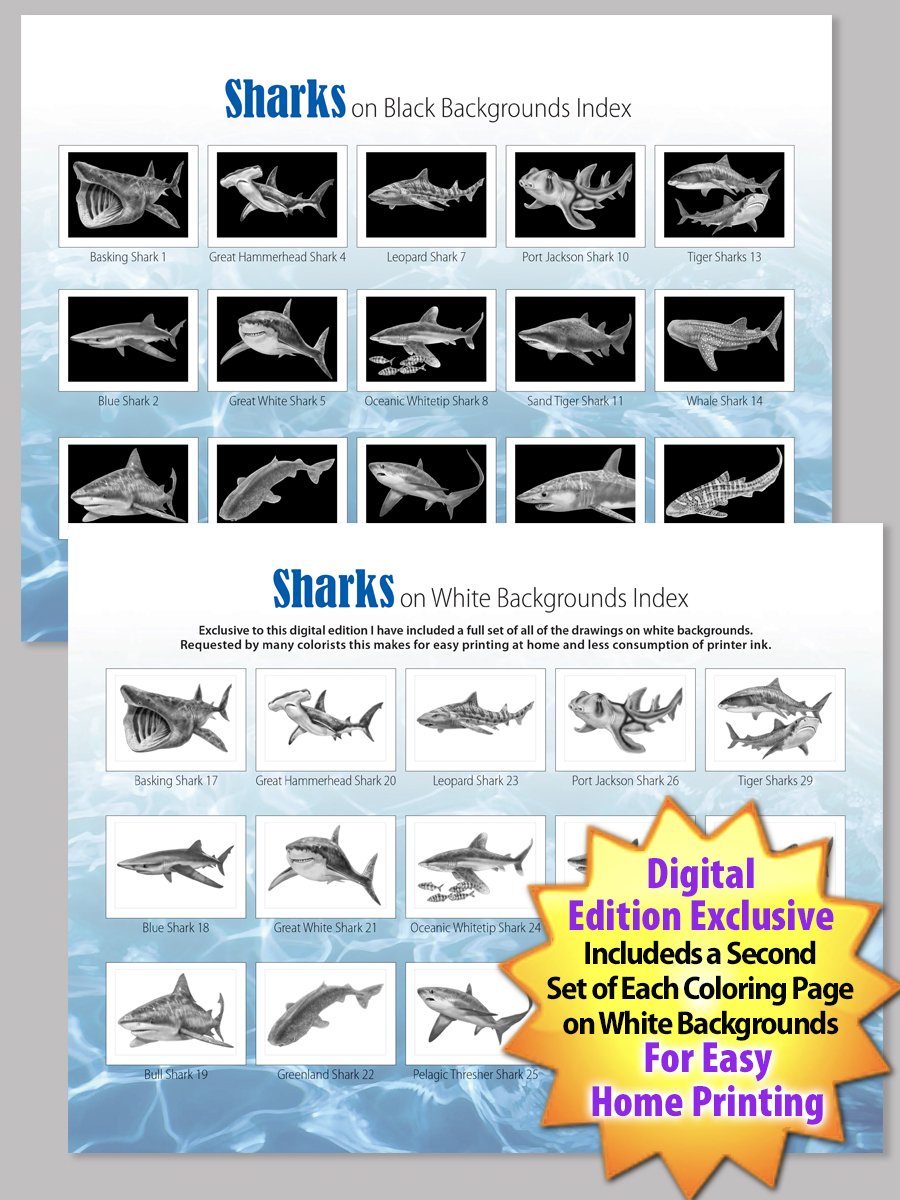 Animal sketches sharks coloring book â tim jeffs art