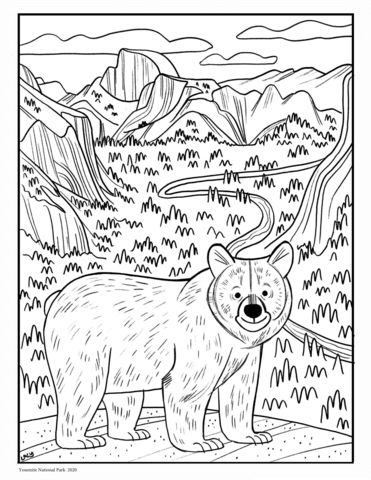 Black bear in yosemite np coloring page free printable coloring pages