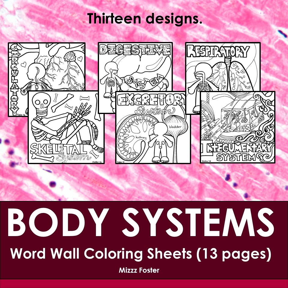 Human anatomy physiology body systems word wall coloring sheets made by teachers