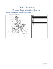 Male reproductive system worksheet coloring page free printable coloring pagespdf