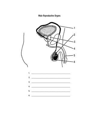 Repro diagram pdf