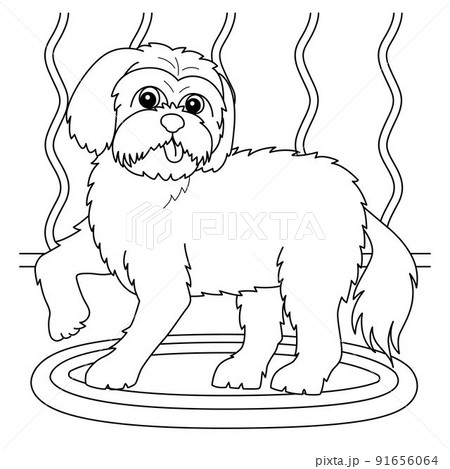 Maltese dog coloring page for kids