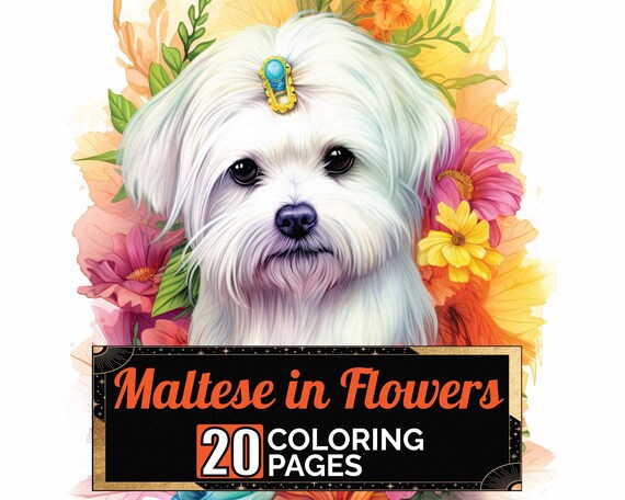 Maltese dog in flowers coloring pages premium coloring sheets coloring book a size printable digital pdf download dog coloring theme download now