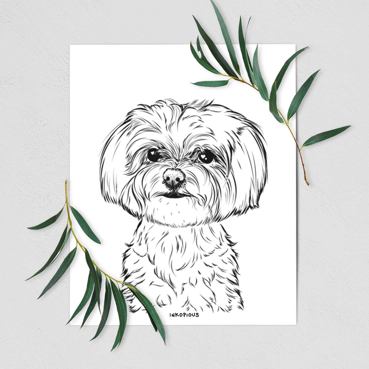 Willow the maltese art print â