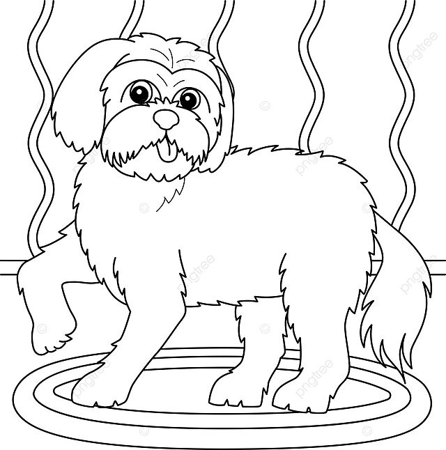 Maltese dog coloring page for kids colour page hand drawn vector dog drawing ring drawing kid drawing png and vector with transparent background for free download