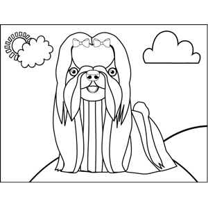 Cute maltese dog coloring page