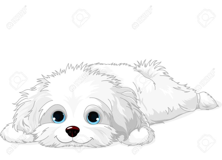 Image result for fluffy dog coloring pages dog drawing dog paintings animal drawings