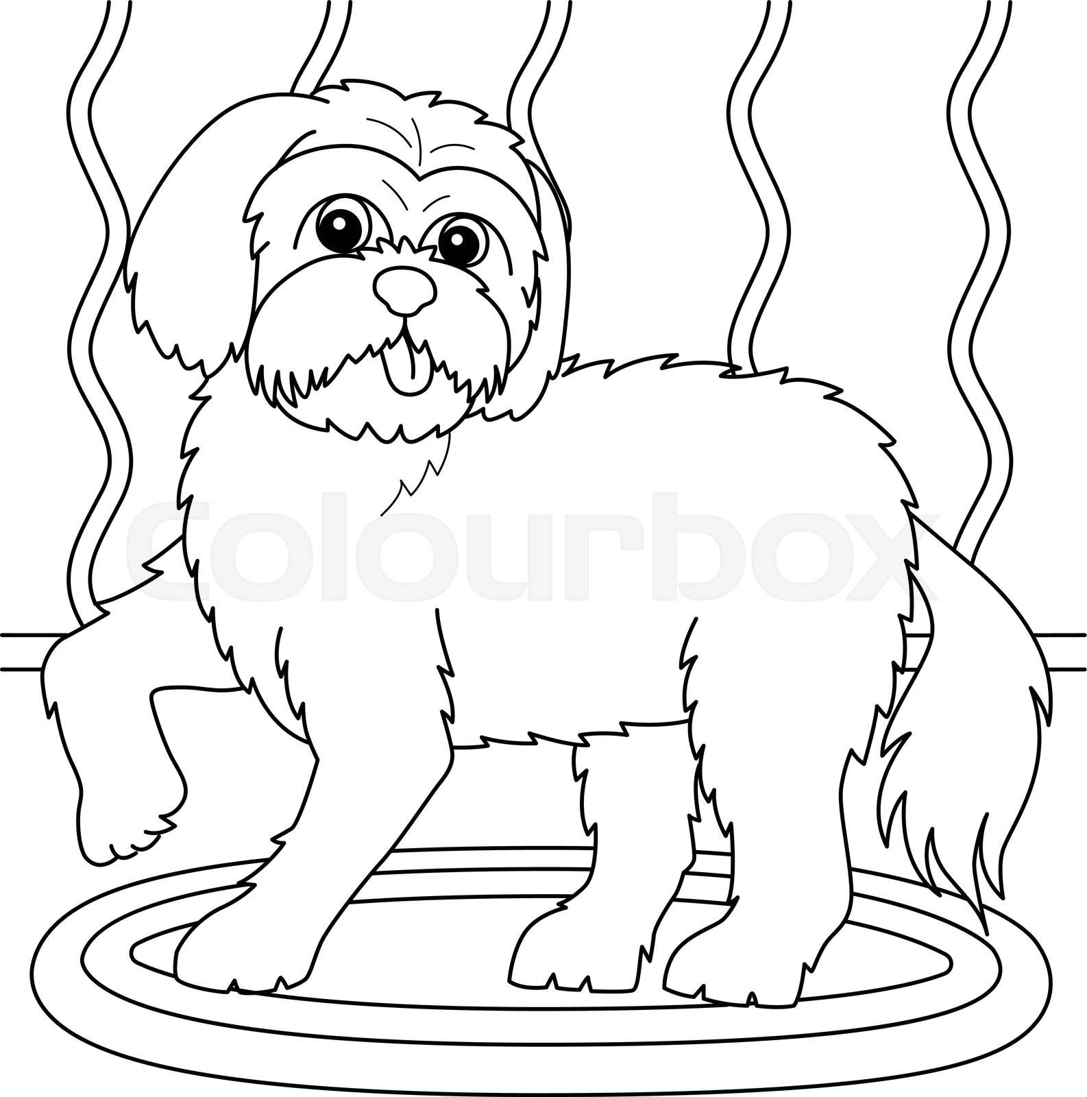 Maltese dog coloring page for kids stock vector