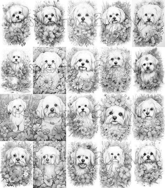 Maltese dog in flowers coloring pages premium coloring sheets coloring book a size printable digital pdf download dog coloring theme download now