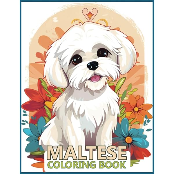 Maltese coloring book for kids adults mother father fun and easy dog coloring pages in cute style size x inches pages kakubari yoko books