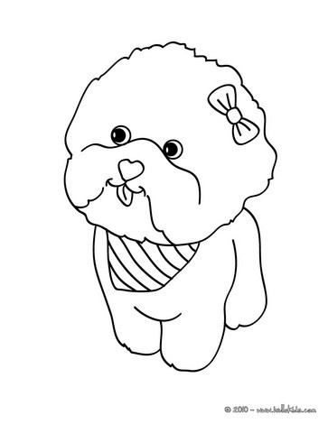 Maltese dog puppy coloring pages