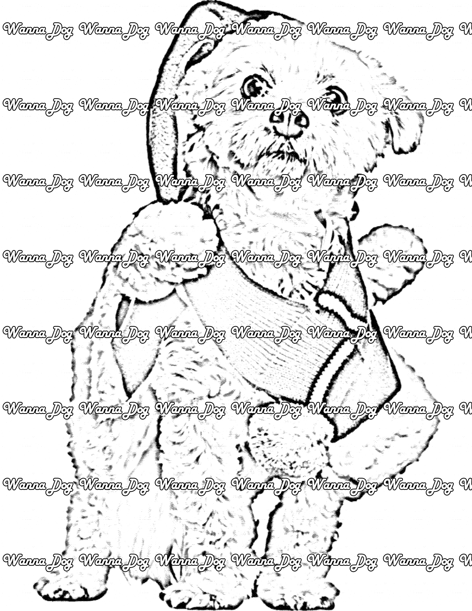 Maltese coloring pages â wanna dog