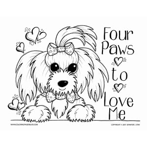 Adorable maltese dog valentine