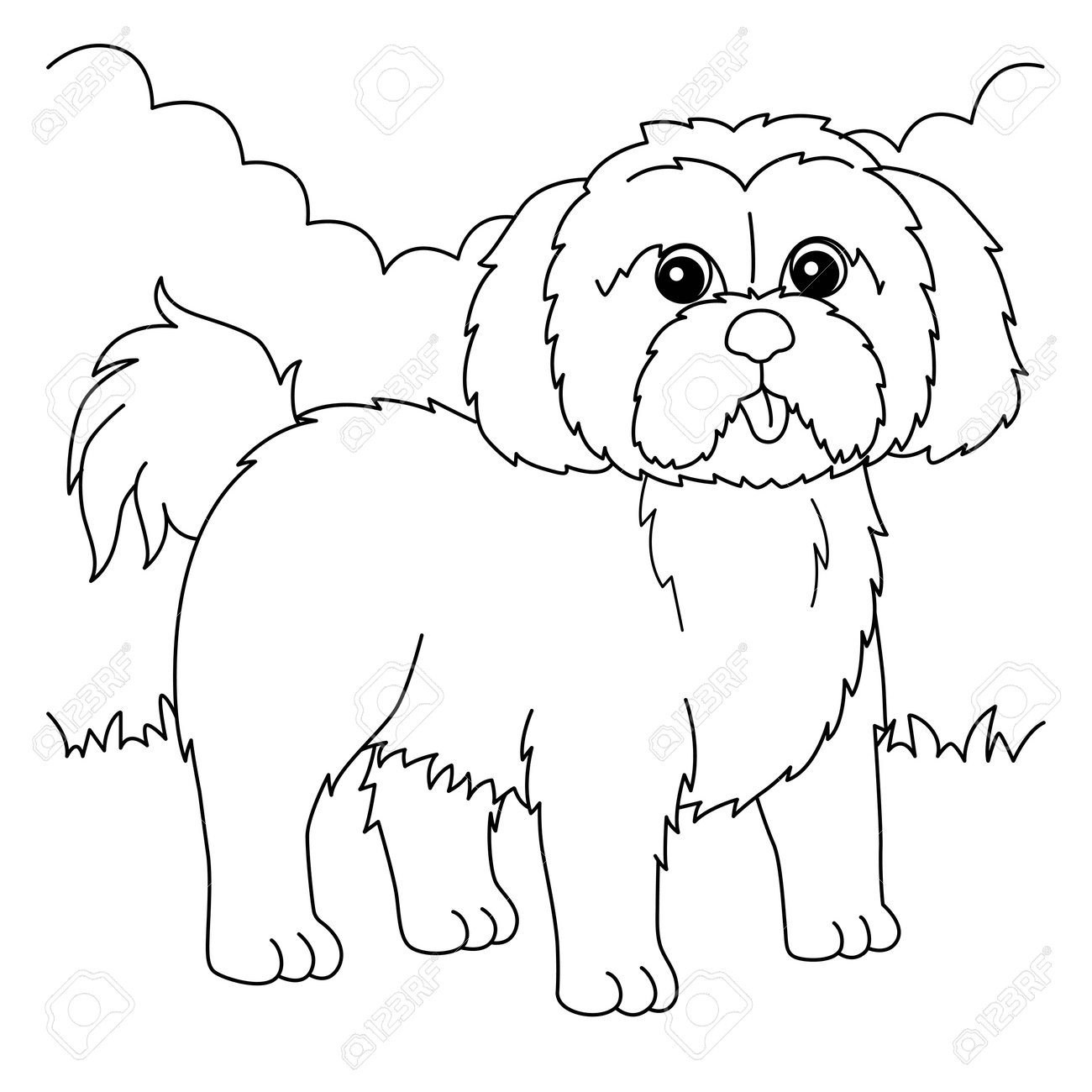 Shih tzu dog coloring page for kids royalty free svg cliparts vectors and stock illustration image