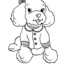 Maltese dog puppy coloring pages