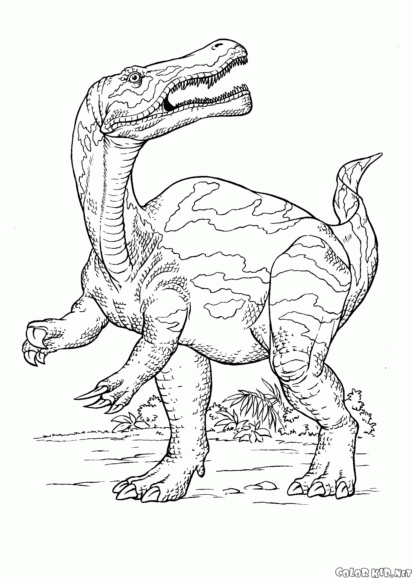 Coloring page