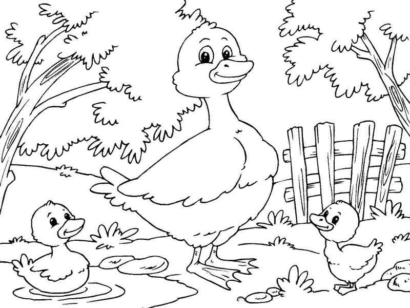 Dibujo para pintar de mama pata y sus patitos pato para colorear dibujos para pintar dibujos de animal