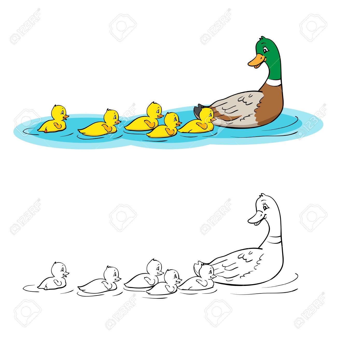 Coloring book or page mother duck and ducklings mallard duck and baby ducklings royalty free svg cliparts vectors and stock illustration image