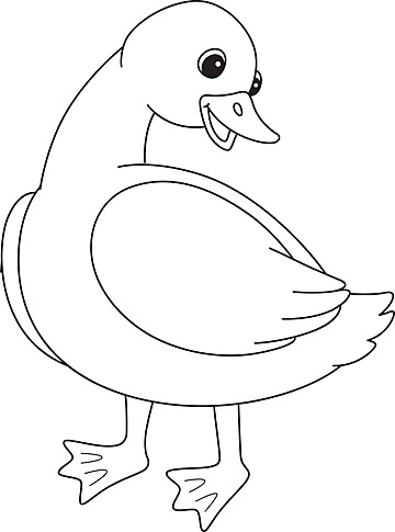 Mother duck isolated coloring page for kids hand drawn drawing ducklings vector hand drawn drawing ducklings png and vector with transparent background for free download