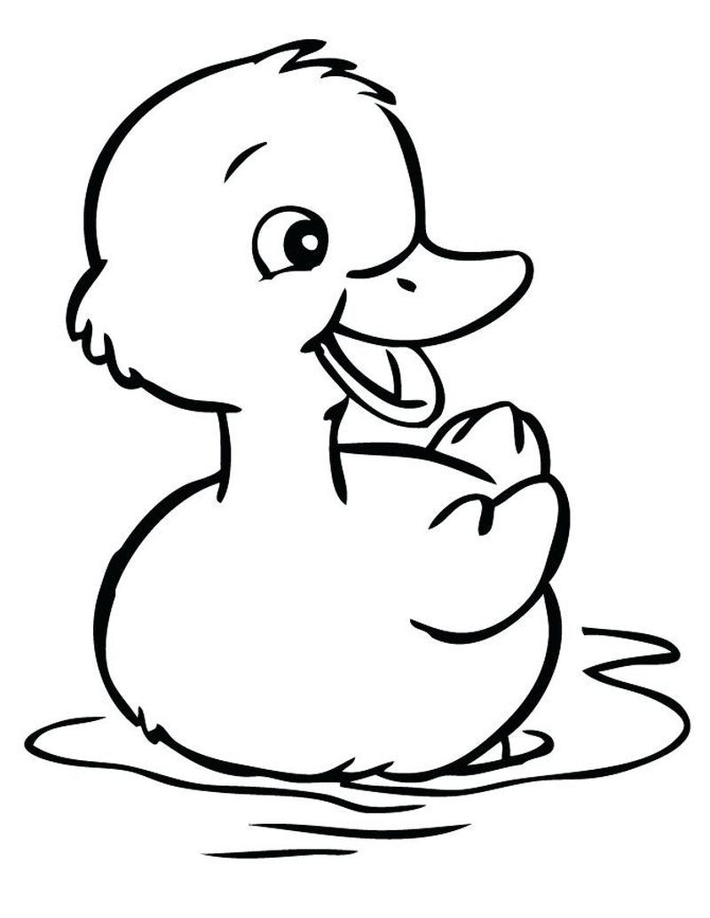 Cute duck coloring pag pdf