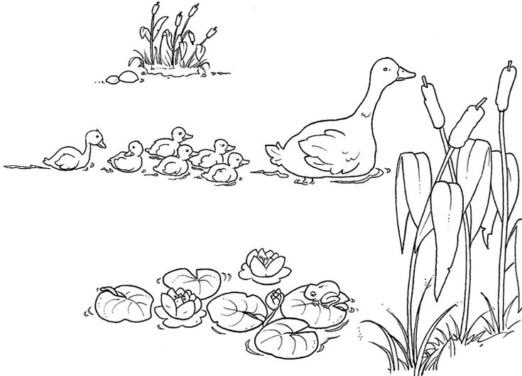 Rultado de imagem para denho de patinhos para colorir pato para colorear dibujo para mama pãginas para colorear