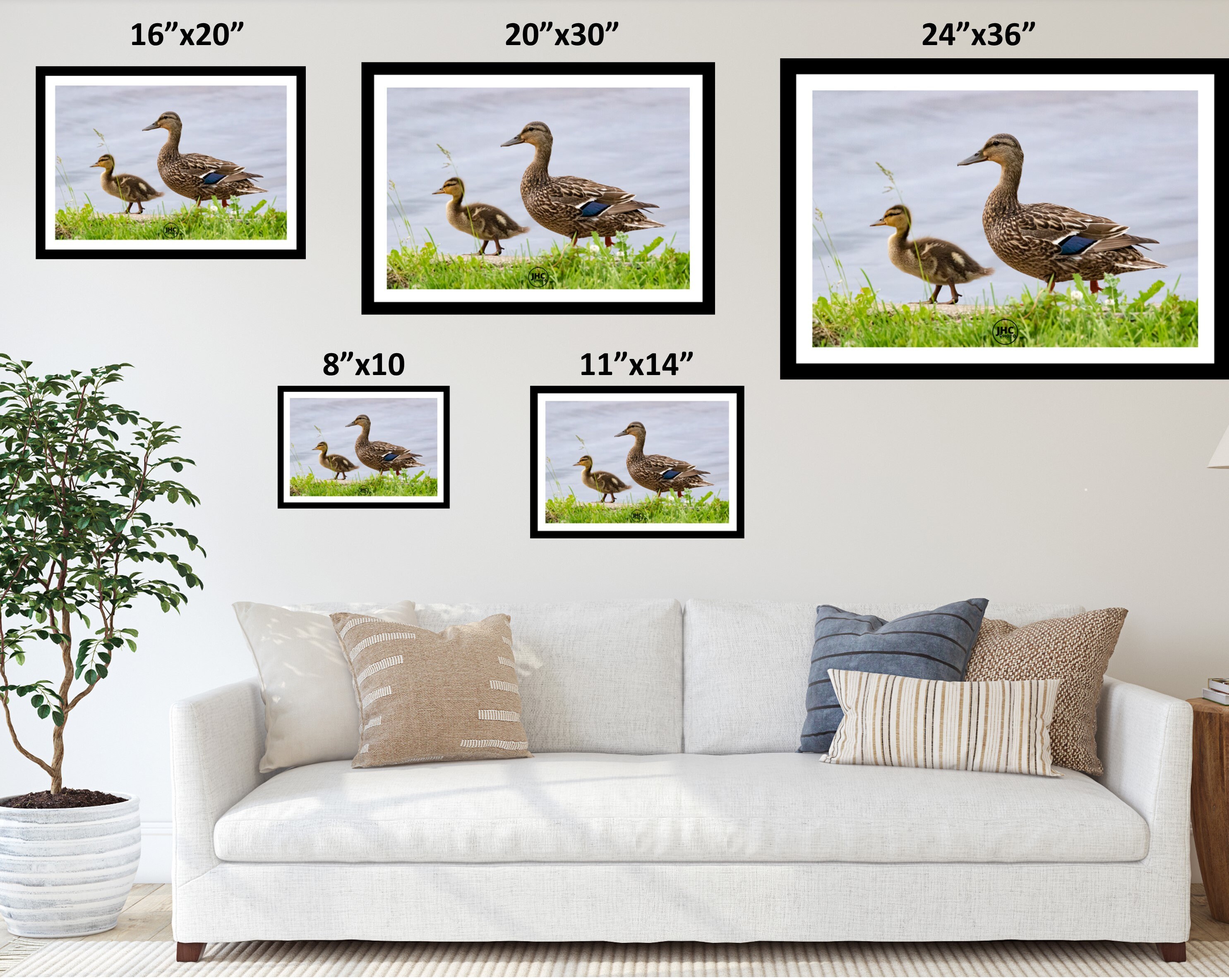 Impresiãn de arte de pared de patos fotografãa de pato arte de pato pato madre pato bebã patito regalo para mamã impresiãn de pato arte de pato pato real