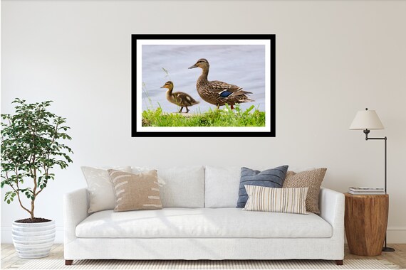 Impresiãn de arte de pared de patos fotografãa de pato arte de pato pato madre pato bebã patito regalo para mamã impresiãn de pato arte de pato pato real