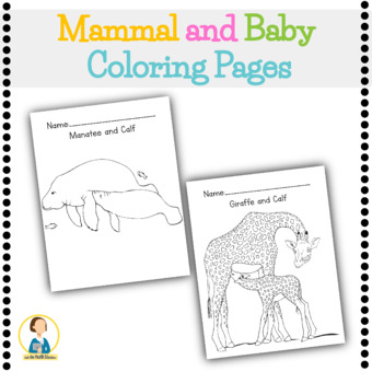 Animals coloring pages animal coloring book mammal lesson tpt