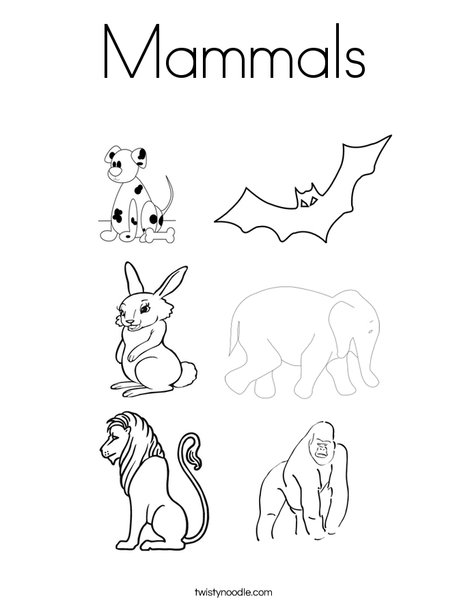 Mammals coloring page