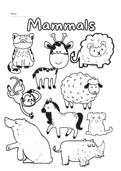 Mammals colouring sheet by mars designs things tpt
