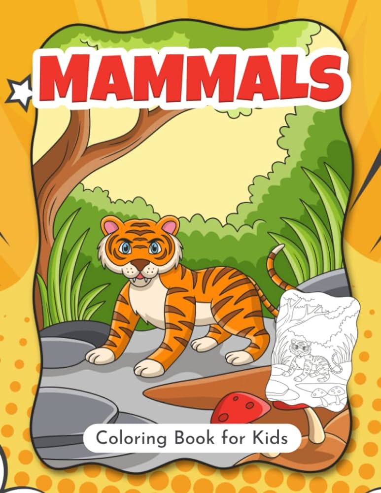 Mammals coloring book for kids fun and easy coloring pages for preschool and kindergarten big picture and high quality fat triple books