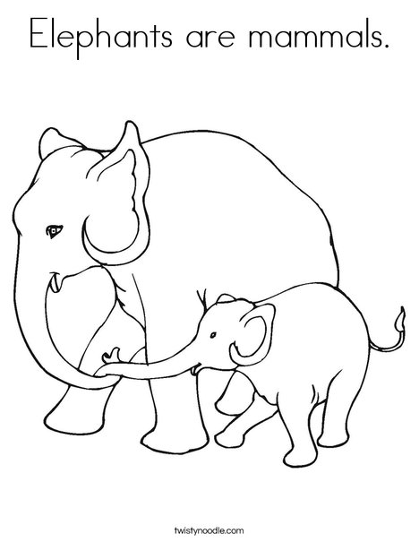 Elephants are mammals coloring page