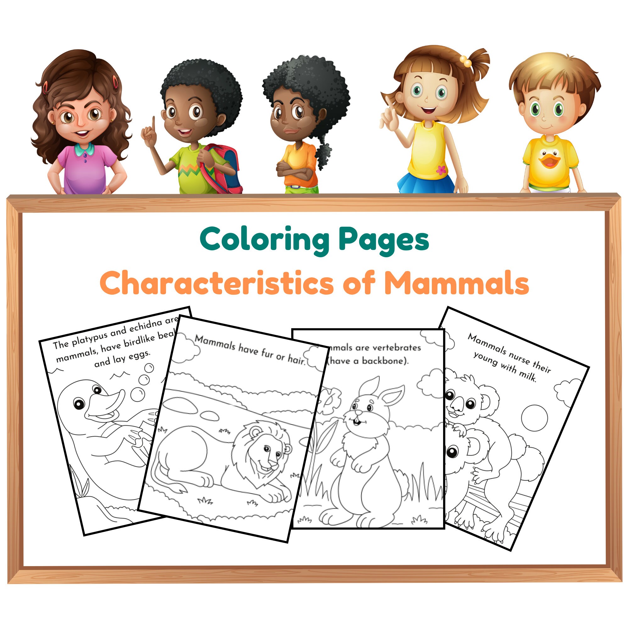 Digital coloring pages characteristics of mammals mammal coloring pages kids coloring book printable coloring pages mammal facts