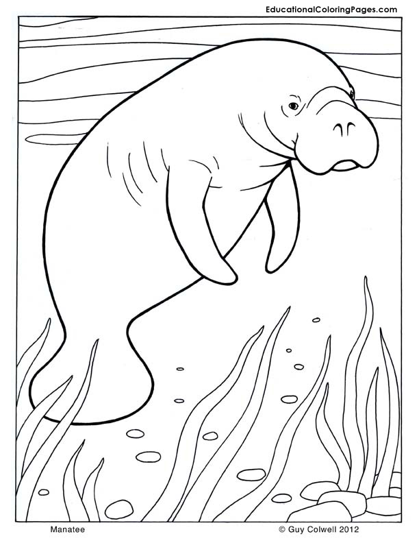 Mammals book one coloring pages animal coloring pages