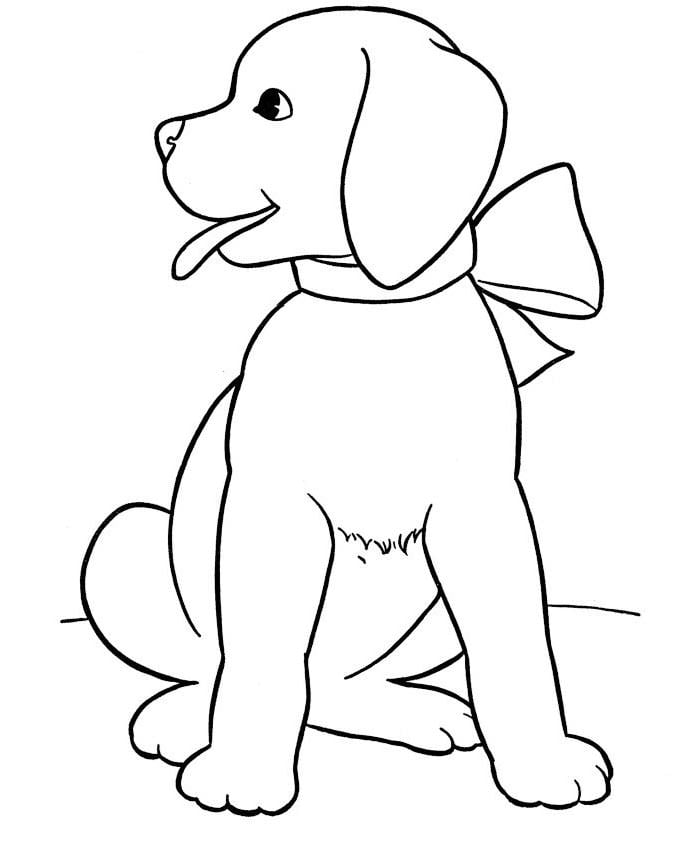 Animal colouring pages free download print