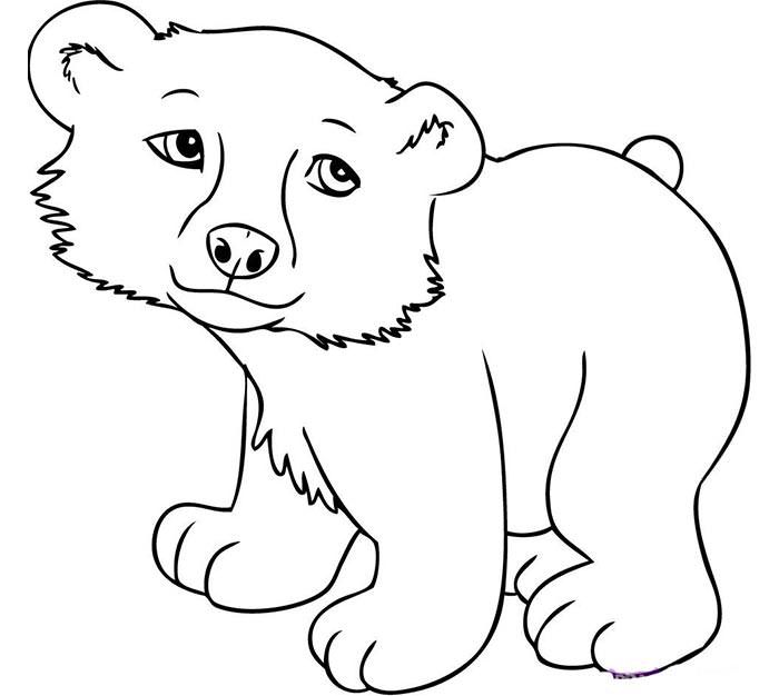 Animal colouring pages free download print animal coloring pages cartoon drawings of animals animal drawings