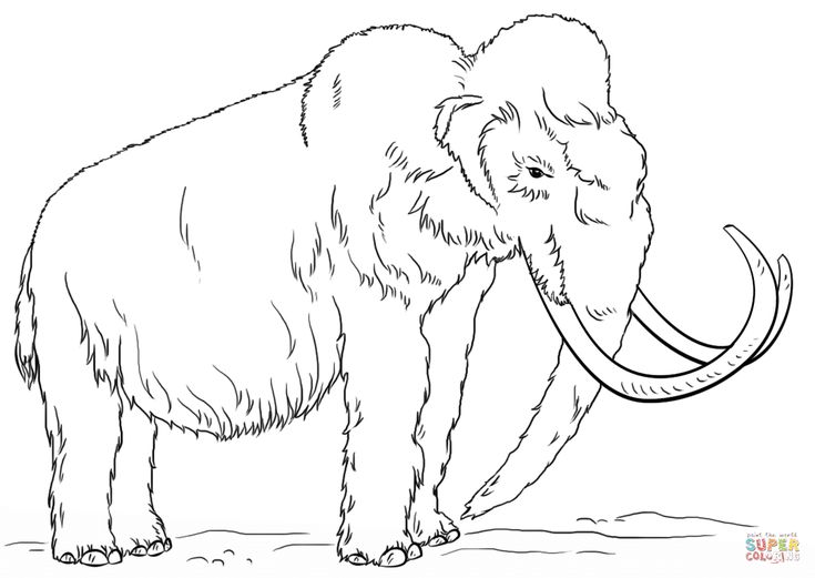 Woolly mammoth coloring page free printable coloring pages coloring pages nature animal coloring pages wooly mammoth