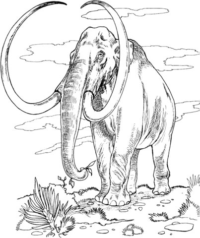 Mammoth coloring page free printable coloring pages