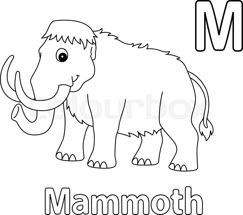 Mammoth alphabet abc isolated coloring page m stock vector