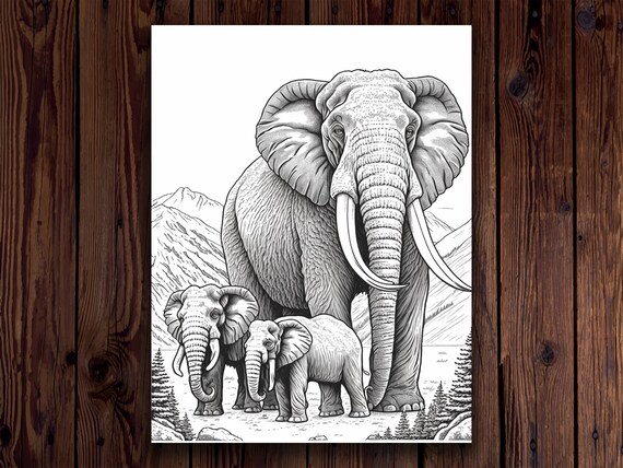 Mammoths coloring pages for adults a collection of intricate coloring pages travel back in time with these realistic mammoth printables