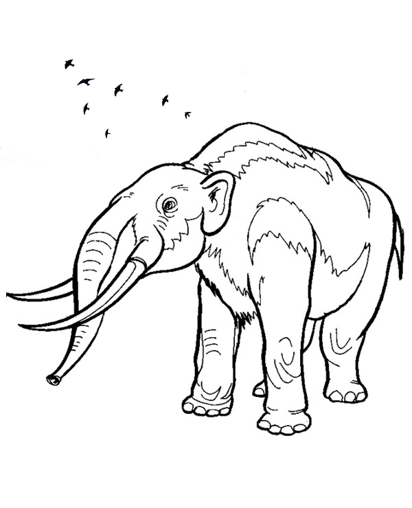 Printable mammoth coloring page for free