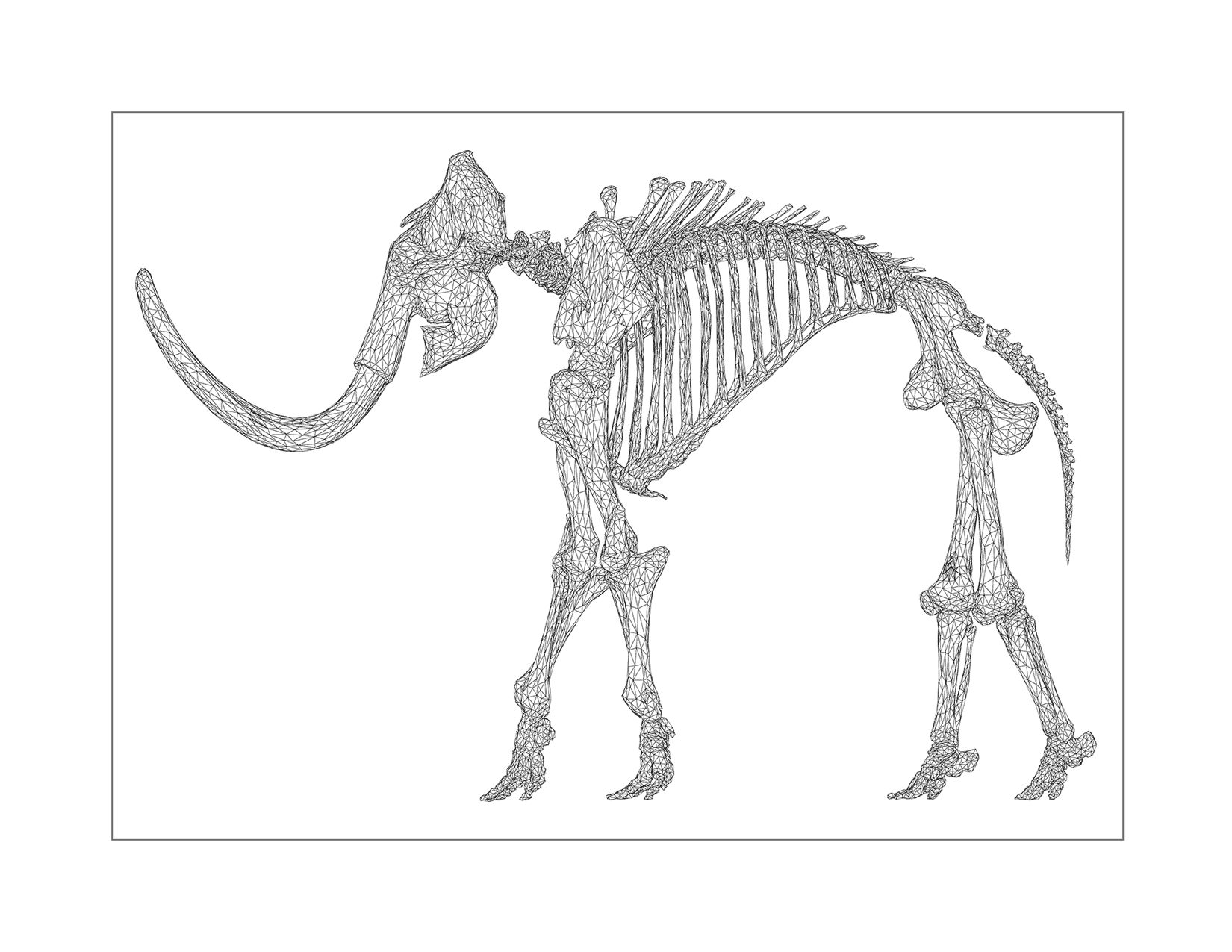 Museum mammoth skeleton bones page â printable pages