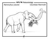 Mammoth coloring pages free coloring pages