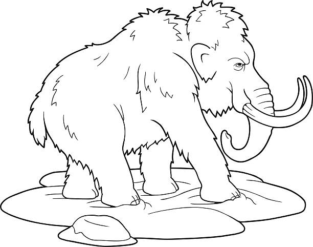 Woolly mammoth illustration stock illustrations royalty