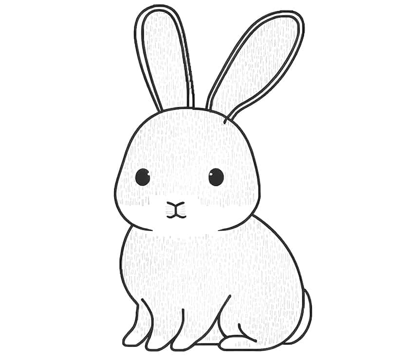 Bunny coloring pages