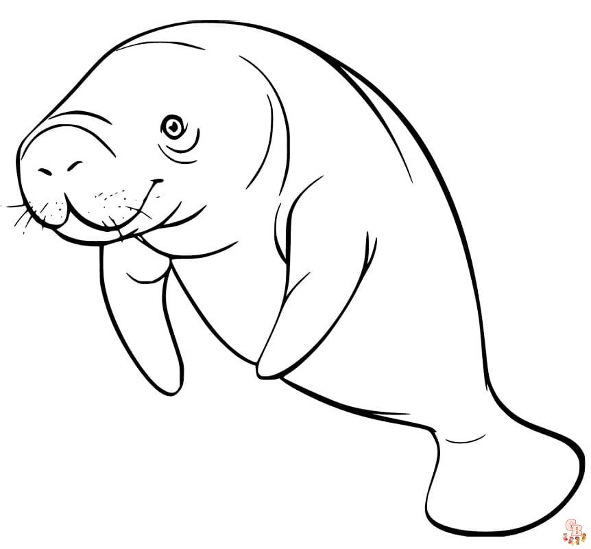 Free manatee coloring pages