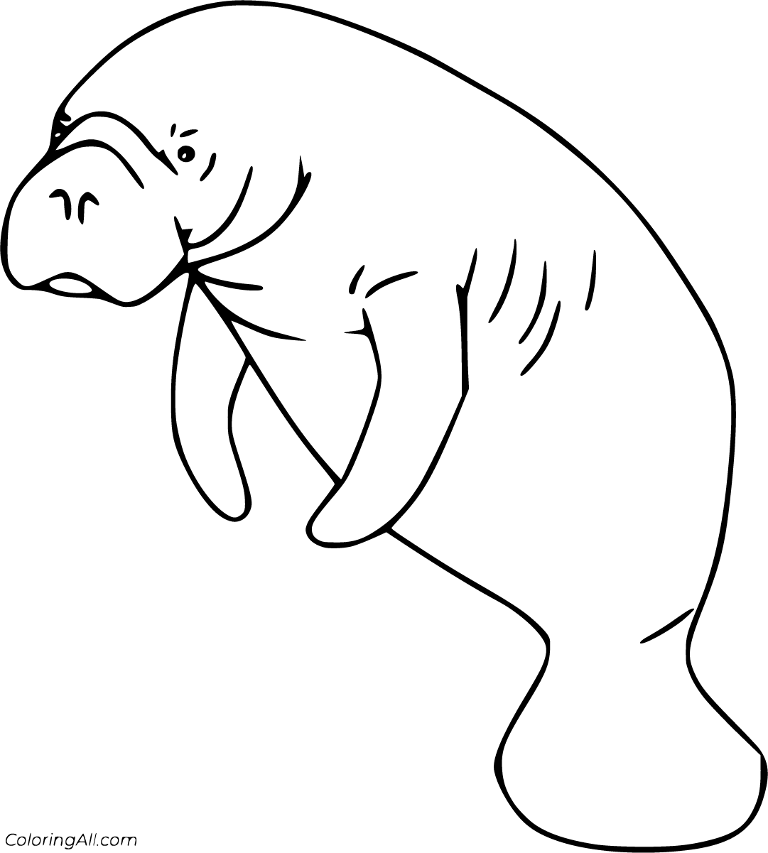 Manatee coloring pages