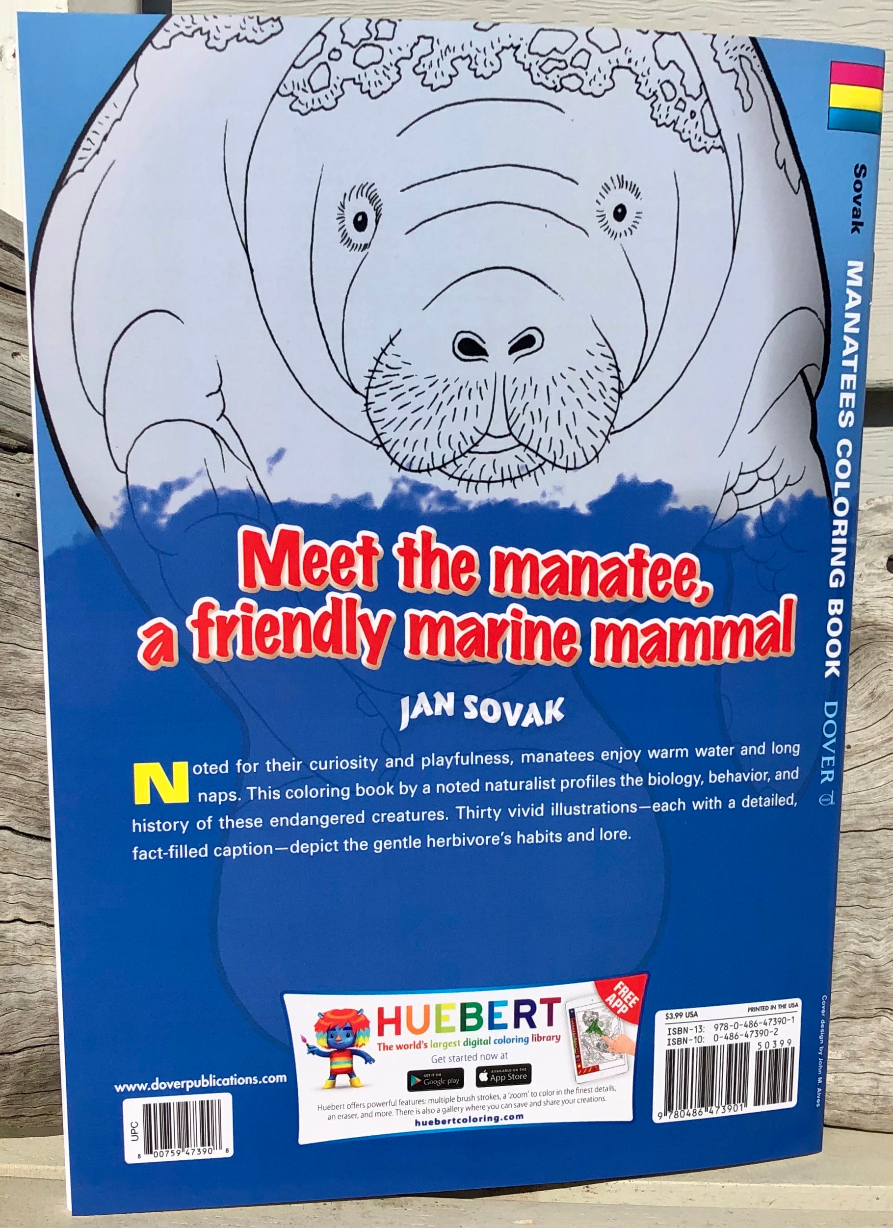 Manatees coloring book