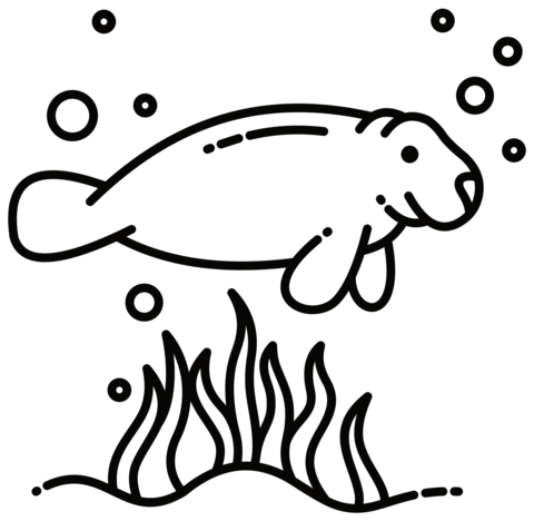 Manatee coloring page free printable coloring pages